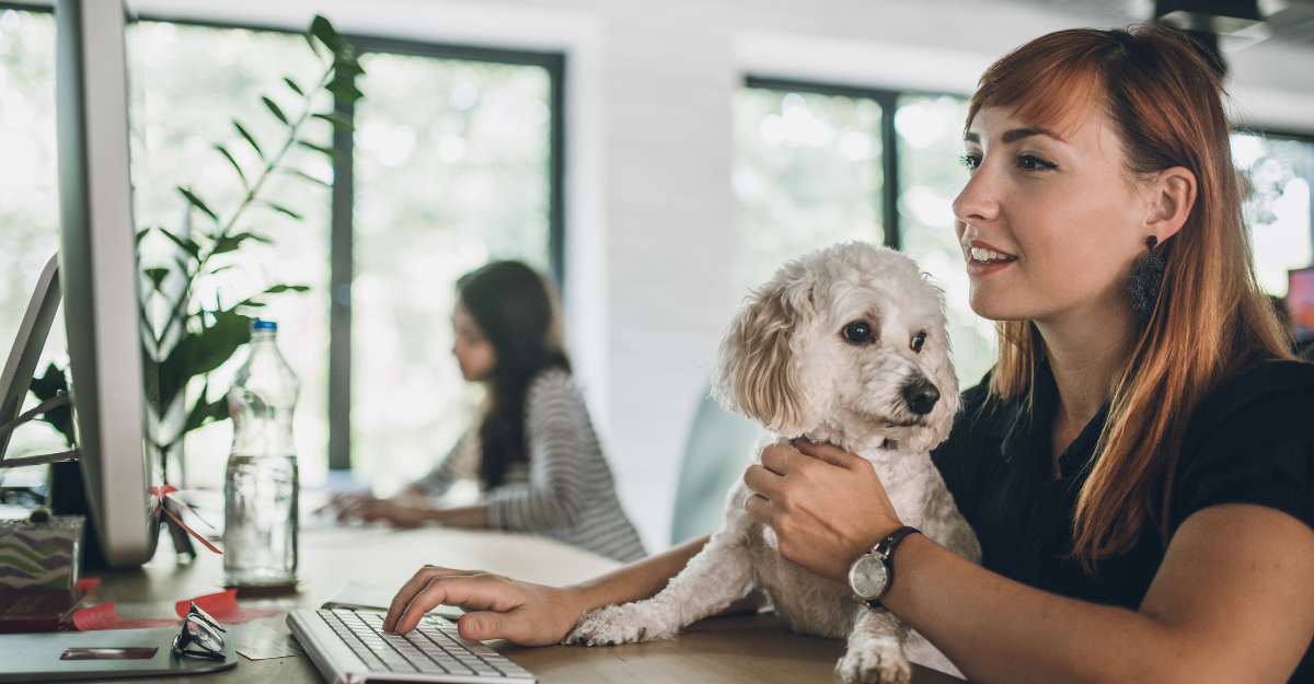 How to have a pet friendly office
